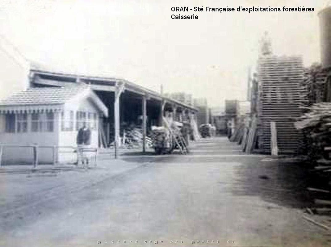 ORAN- 07.jpg